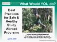 What Would YOU do? PowerPoint PPT Presentation