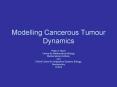 Modelling Cancerous Tumour Dynamics PowerPoint PPT Presentation