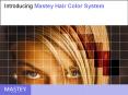 Introducing Mastey Hair Color System PowerPoint PPT Presentation