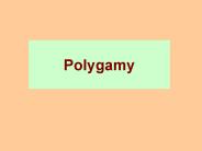 Polygamy PowerPoint PPT Presentation