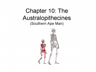 Chapter 10: The Australopithecines Southern Ape Man