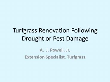 Turfgrass Renovation Following Drought or Pest Damage