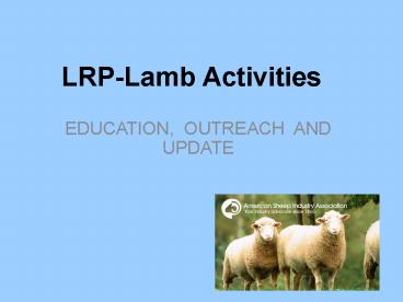 LRPLamb Activities