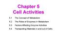 Chapter 5 Cell Activities PowerPoint PPT Presentation