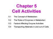 Chapter 5 Cell Activities