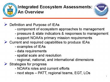 Definition and Purpose of IEAs