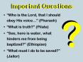 Important Questions PowerPoint PPT Presentation