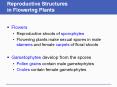 Reproductive Structures in Flowering Plants PowerPoint PPT Presentation