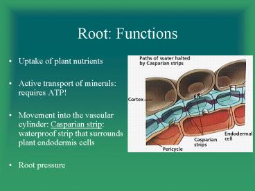 presentation player overlay