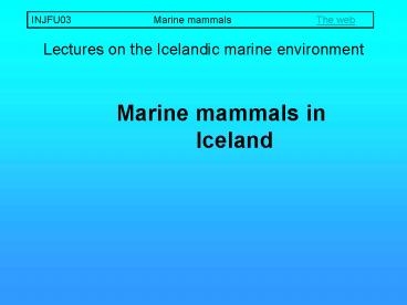 INJFU03Marine mammalsThe web