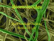 Biomolecules