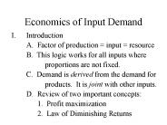 Economics of Input Demand
