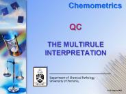 QC  THE MULTIRULE INTERPRETATION
