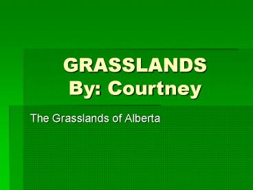 GRASSLANDS By: Courtney