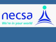 Development of NECSA