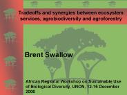 Tradeoffs and synergies between ecosystem services, agrobiodiversity and agroforestry