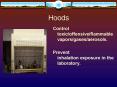 Hoods PowerPoint PPT Presentation