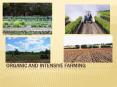 Organic and Intensive Farming PowerPoint PPT Presentation