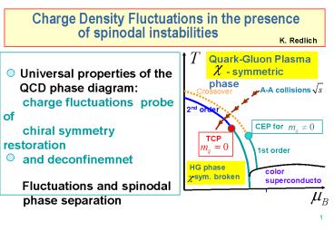 Charge Density Fluctuations in the presence           of spinodal instabilities