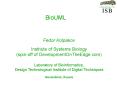 BioUML PowerPoint PPT Presentation