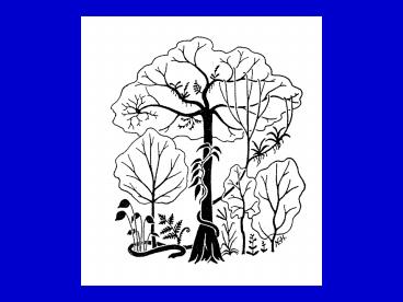 MW1' Schema van een DC kiemplant