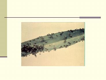 Nutritional Diseases