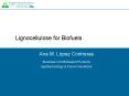 Lignocellulose for Biofuels PowerPoint PPT Presentation