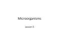 Microorganisms PowerPoint PPT Presentation