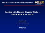 Dealing with Natural Disaster Risks Institutions