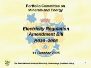 Electricity Regulation Amendment Bill