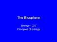 The Biosphere PowerPoint PPT Presentation