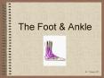 The Foot PowerPoint PPT Presentation