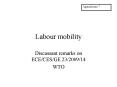Labour mobility PowerPoint PPT Presentation