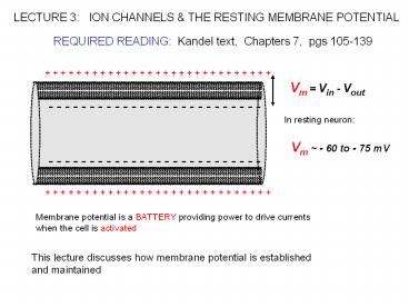 LECTURE 3: ION CHANNELS