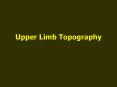 Upper Limb Topography PowerPoint PPT Presentation