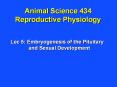 Animal Science 434 Reproductive Physiology PowerPoint PPT Presentation