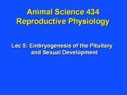 Animal Science 434 Reproductive Physiology