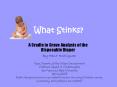 What Stinks? PowerPoint PPT Presentation