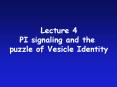 PI signaling and the PowerPoint PPT Presentation