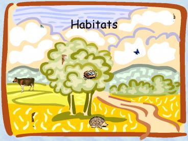 West Borough Primary School