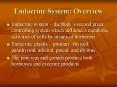 Endocrine System: Overview PowerPoint PPT Presentation