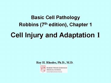 presentation player overlay