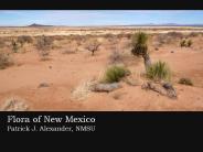 Flora of New Mexico