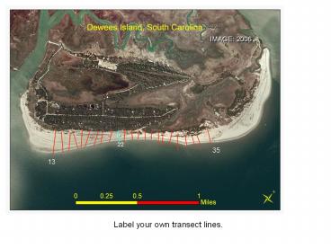 Label your own transect lines.