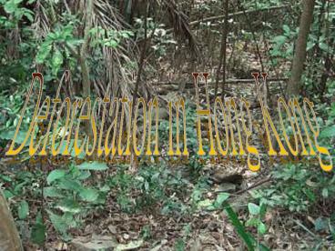 Deforestation in Hong Kong