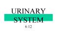 URINARY SYSTEM 6:12 PowerPoint PPT Presentation