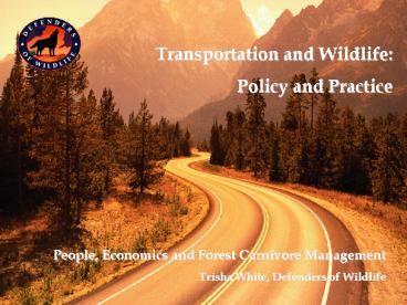 SCOE, White, Defenders of Wildlife, Transp and Wildlife'ppt