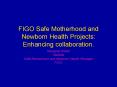FIGO Safe Motherhood and Newborn Health Projects: Enhancing collaboration' PowerPoint PPT Presentation