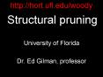 Structural pruning PowerPoint PPT Presentation