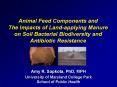 Animal Feed Components and The Impacts of Landapplying Manure on Soil Bacterial Biodiversity and Ant PowerPoint PPT Presentation